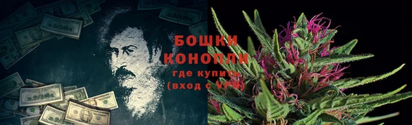 индика Гусь-Хрустальный