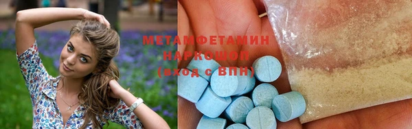 индика Гусь-Хрустальный