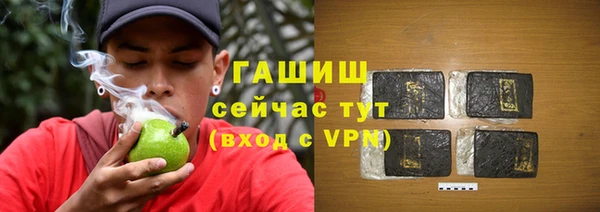 индика Гусь-Хрустальный