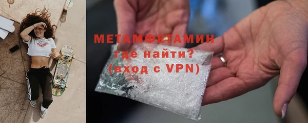 индика Гусь-Хрустальный