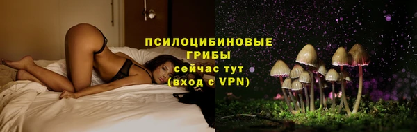 молекула духа Гусев