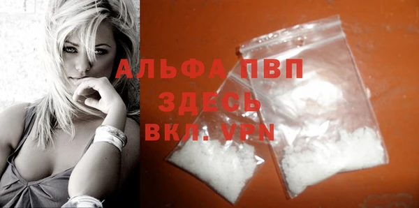 молекула духа Гусев