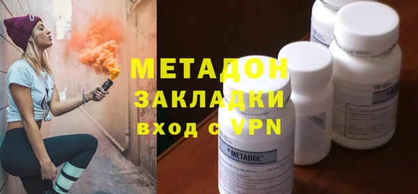 индика Гусь-Хрустальный