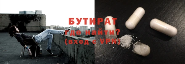 индика Гусь-Хрустальный