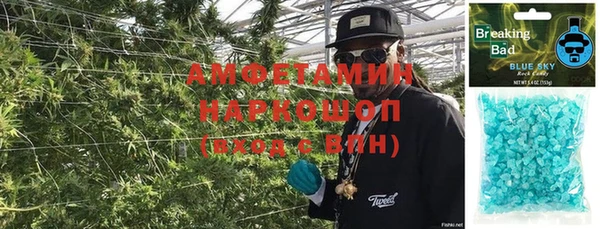 индика Гусь-Хрустальный