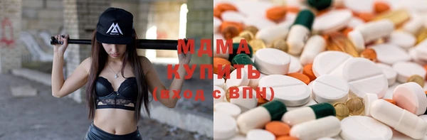индика Гусь-Хрустальный