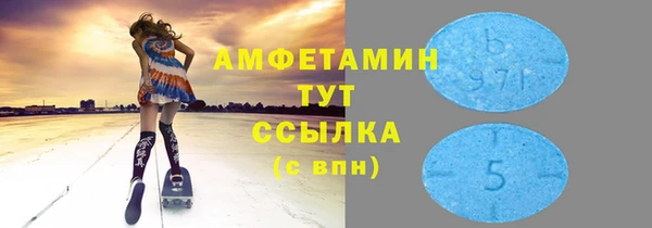 индика Гусь-Хрустальный