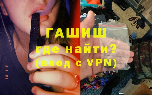 индика Гусь-Хрустальный