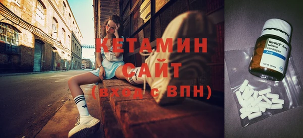 индика Гусь-Хрустальный