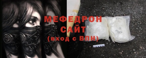 индика Гусь-Хрустальный