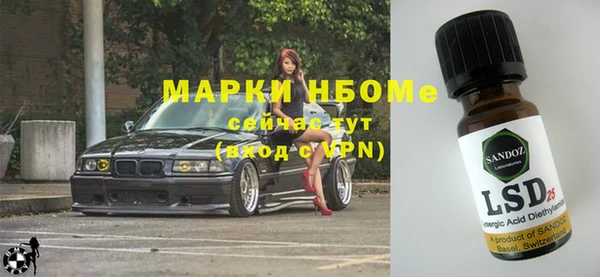 индика Гусь-Хрустальный