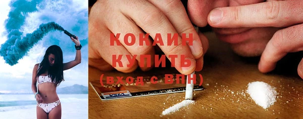 молекула духа Гусев