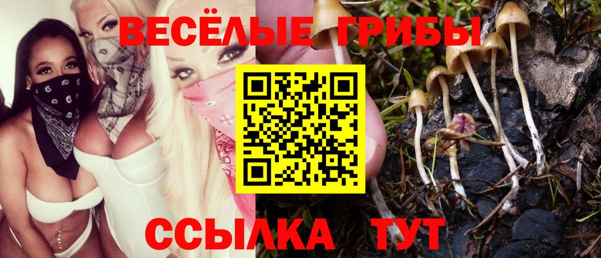 Галлюциногенные грибы Psilocybine cubensis  Вход с VPN  магазин  наркотиков  Галлюциногенные грибы Magic Shrooms  Междуреченск 