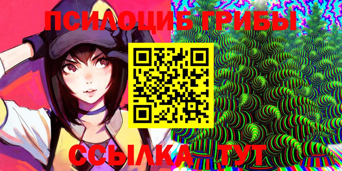 Галлюциногенные грибы прущие грибы  Междуреченск 