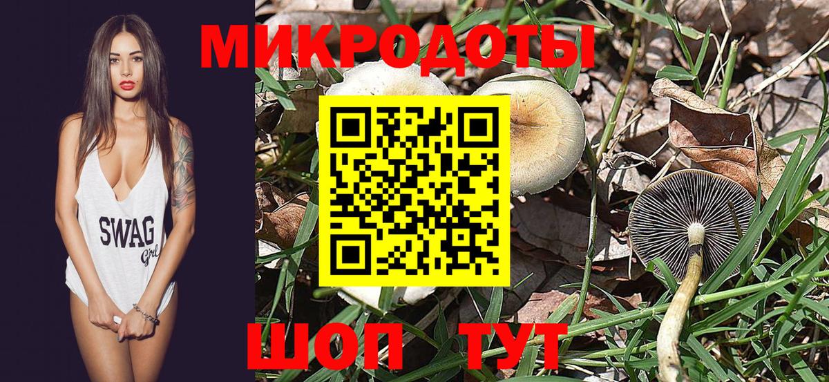 Псилоцибиновые грибы Cubensis Междуреченск